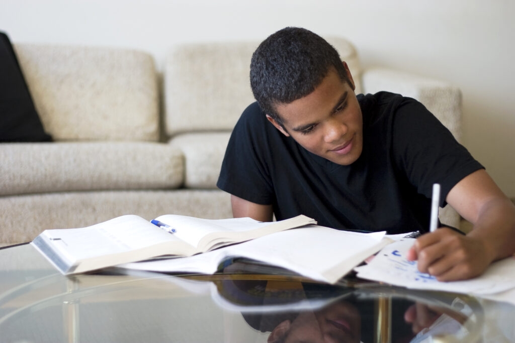 study effectively study effectively