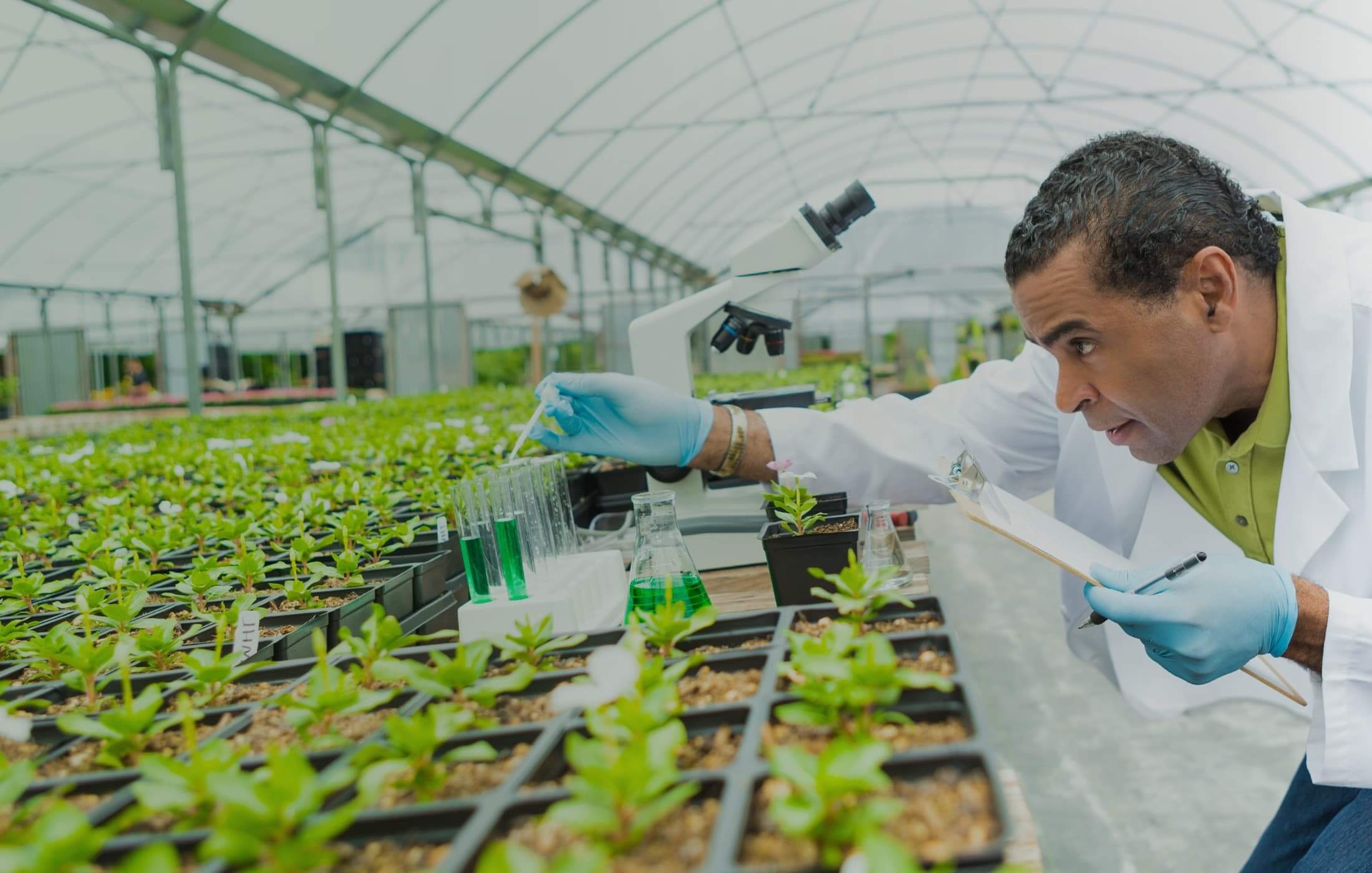Agricultural Sciences Agricultural Sciences