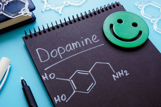 Dopamine and productivity