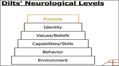 Five Questions to Help You Discover Your Life's Purpose