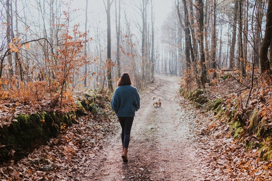 Get Out of Your Comfort Zone by Walking