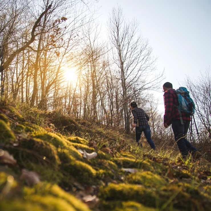 Get Out of Your Comfort Zone by Walking