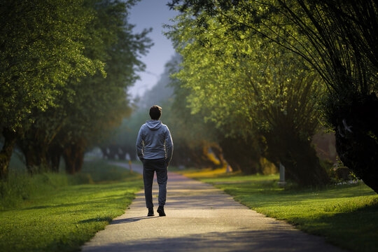 Importance of Walking Importance of Walking