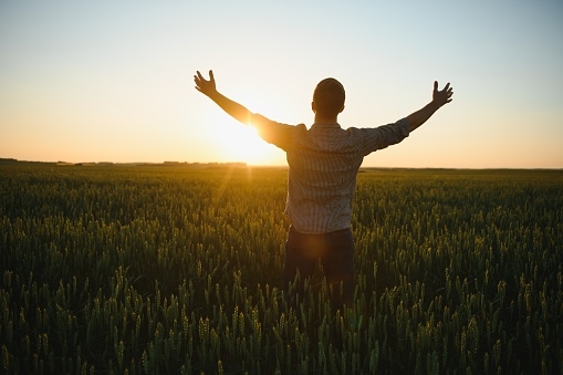 Relationship Between Gratitude and Wellness