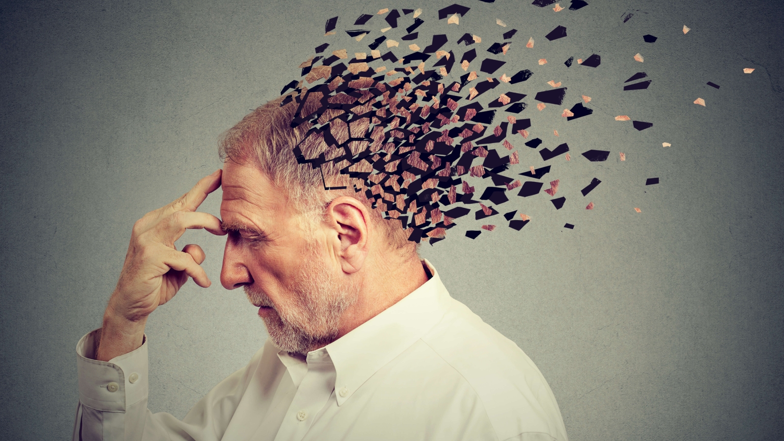 The Five Stages Of Memory