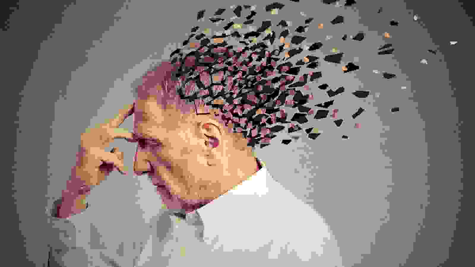 The Five Stages Of Memory