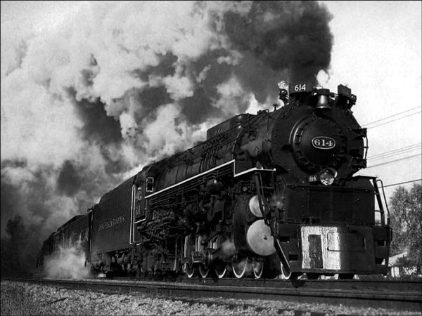 The train