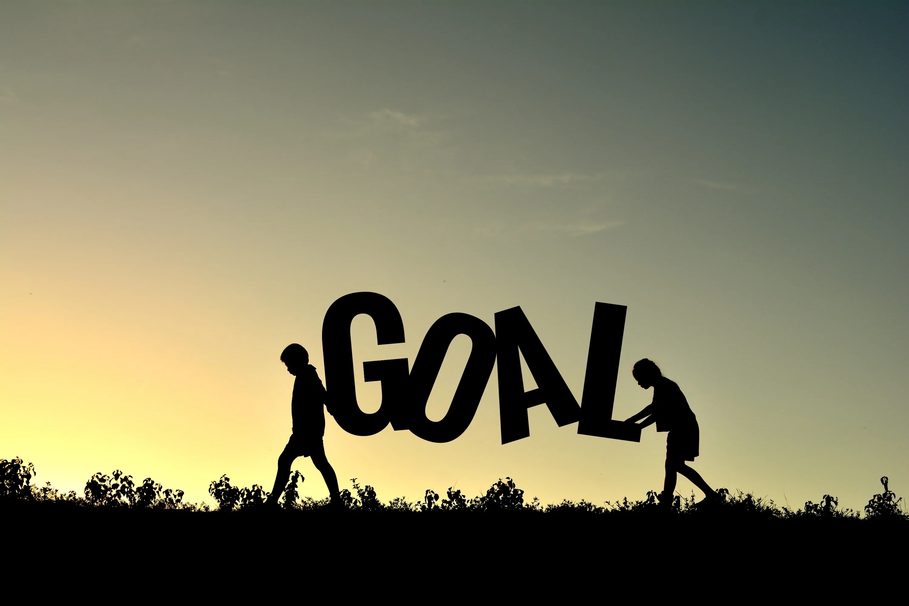 Your goal
