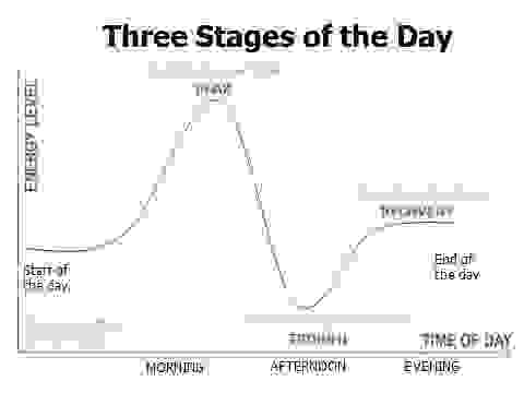stages of daily productivity