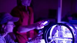 Physics: Definition, Specialties, Fields, and Most Famous Scientists