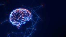 7 Assumptions Your Brain Can't Resist