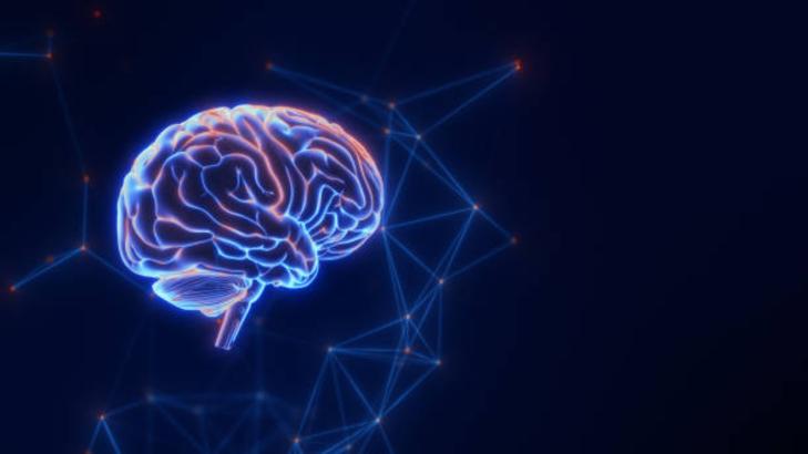 7 Assumptions Your Brain Can't Resist