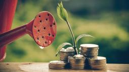 Money Management Tips