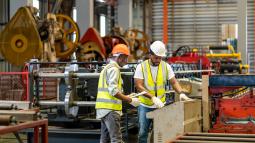 What are the required specializations in the labor market?