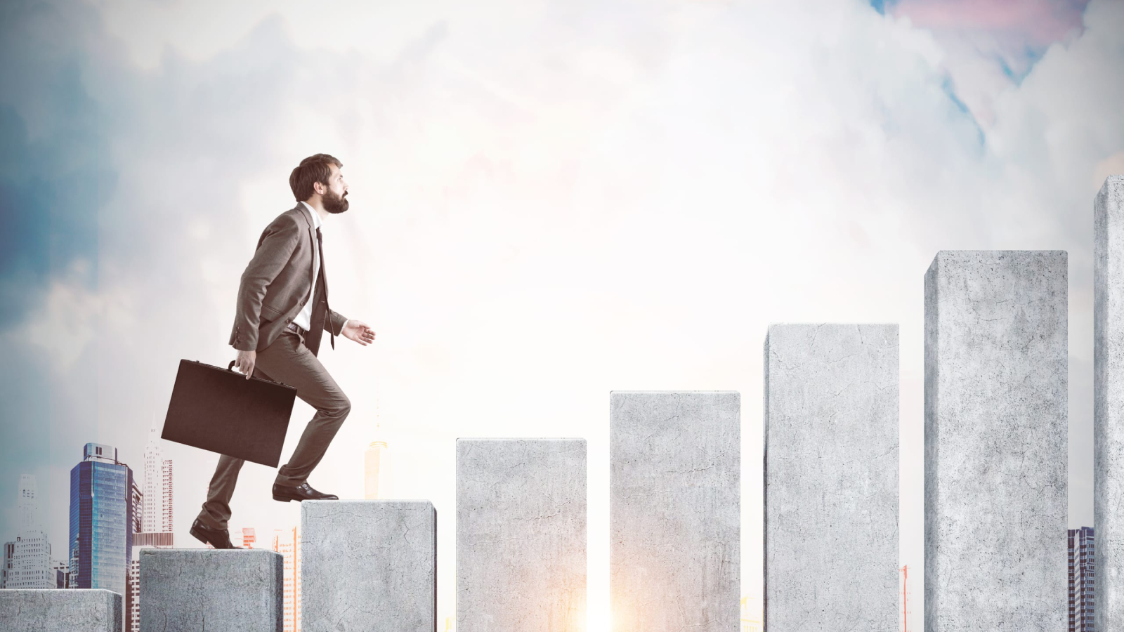 The Concept of Profession and Academic Success