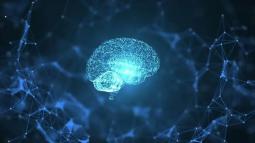 Reprogram Your Mind