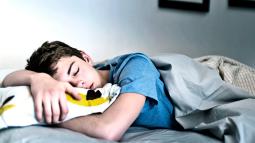 Sleep and Insomnia: The Dilemma of the Age in Adolescents