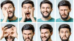 The Sixteen Personality Types and Each One's Corresponding Characteristics