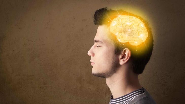 What Are the Limits of the Mind?