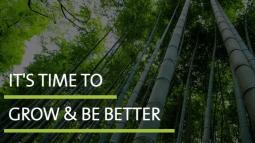 AndGrow: Your Gateway to Personal and Professional Growth