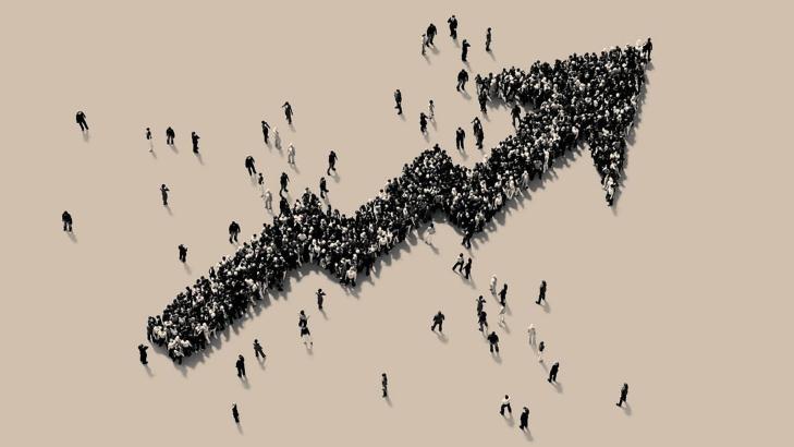 Ahlan Stores and Panurge’s Sheep